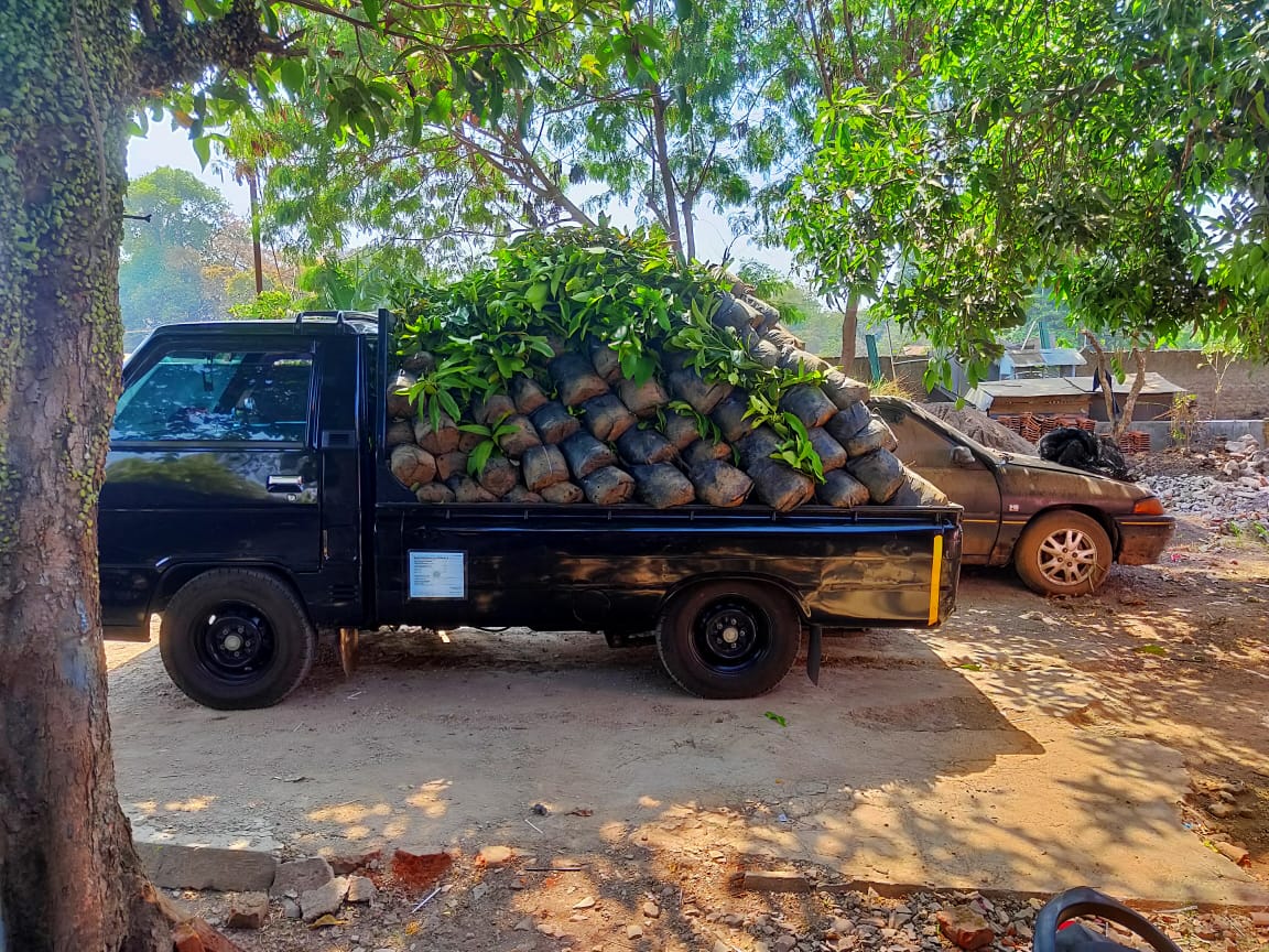 PENGADAAN BIBIT POHON PRODUKTIF DESA CIPARAY